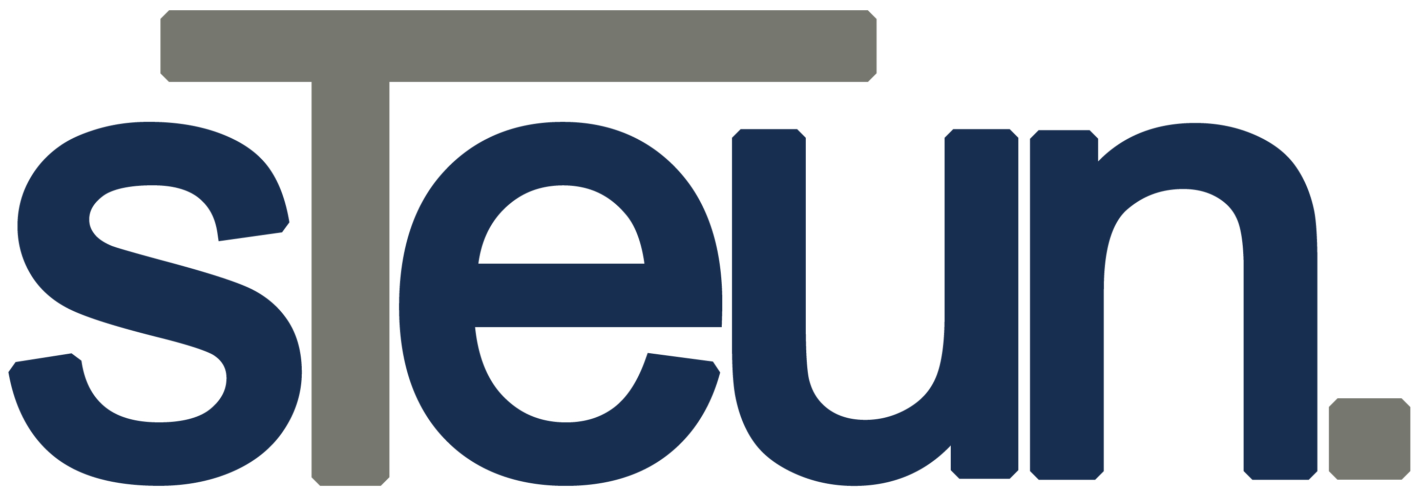 Logo STEUN